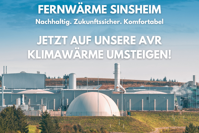 FW-Beratung.png
